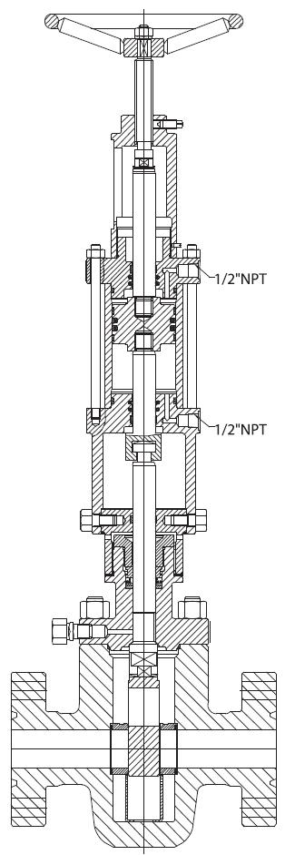 hydraulic actuated slab gate valves