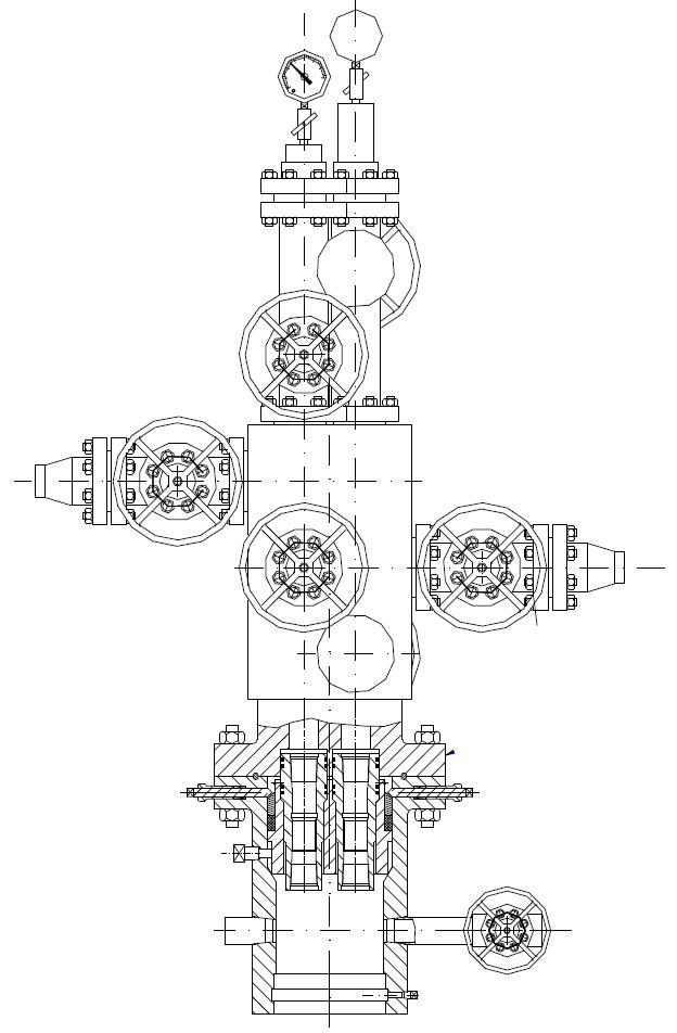 dual stem inject wellhead